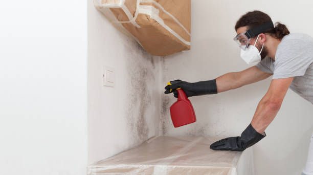 Professional Crawl Space Mold Remediation technician working in Levittown, NY