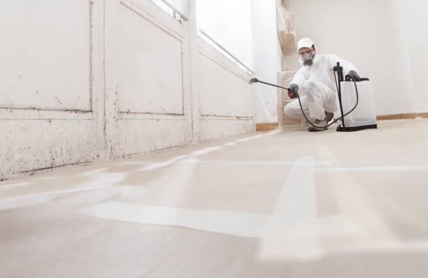 24/7 Emergency Crawl Space Mold Remediation experts in Levittown, NY